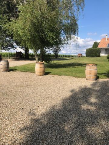 Gite Les Pins Perdus Saint-Ciers-d'Abzac Exteriér fotografie