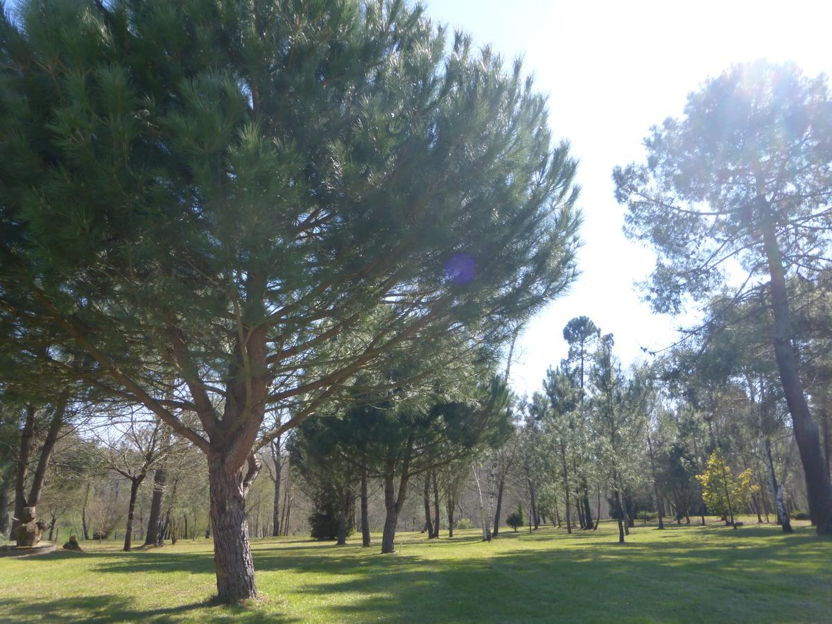 Gite Les Pins Perdus Saint-Ciers-d'Abzac Exteriér fotografie